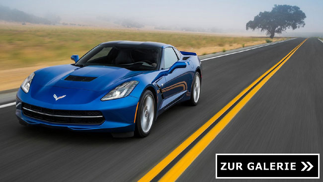 C7-Stingray-(4)