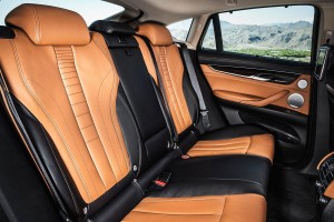 BMW-X6_2015-(22)