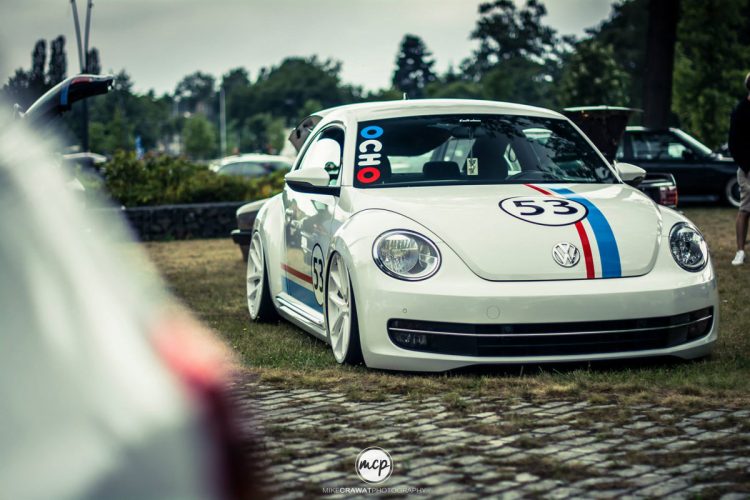 11705497_10153032930333527_