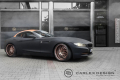 BMW Z4 Carlex Design Punk Z 2014