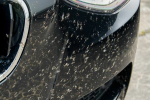 Race 1000 J.C. Photographixxx 2015