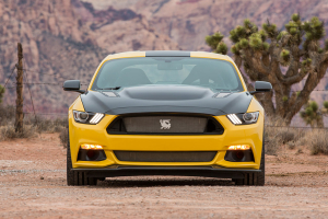 Ford Mustang Shelby Terlingua Racing Team 2016