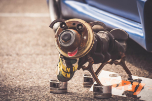 JapFest 2015 (Pics: Team Ewald)