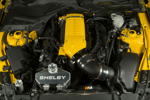 Ford Mustang Shelby Terlingua Racing Team 2016