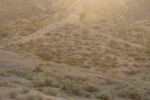 BMW M1 AHG Paket 2014