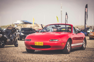 JapFest 2015 (Pics: Team Ewald)