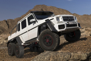 G63-6x6-(19)
