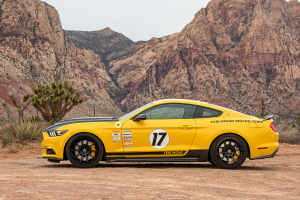 Ford Mustang Shelby Terlingua Racing Team 2016