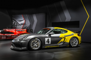 Porsche Cayman GT4 Clubsport 2015