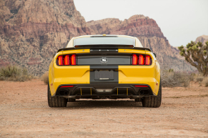 Ford Mustang Shelby Terlingua Racing Team 2016