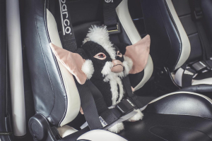 Sport1 Trackday 2015