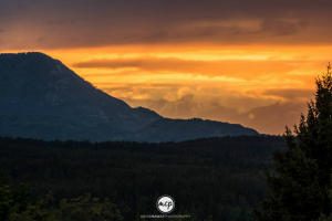 GTI Treffen Wörthersee Mike Crawat De Stickere 2015