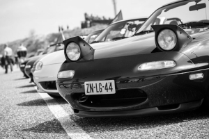 JapFest 2015 (Pics: Team Ewald)