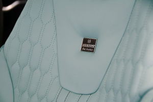 Tesla Model S Brabus 2015