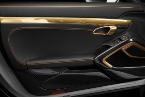 Porsche 911 991 Turbo TopCar 2014 (26)