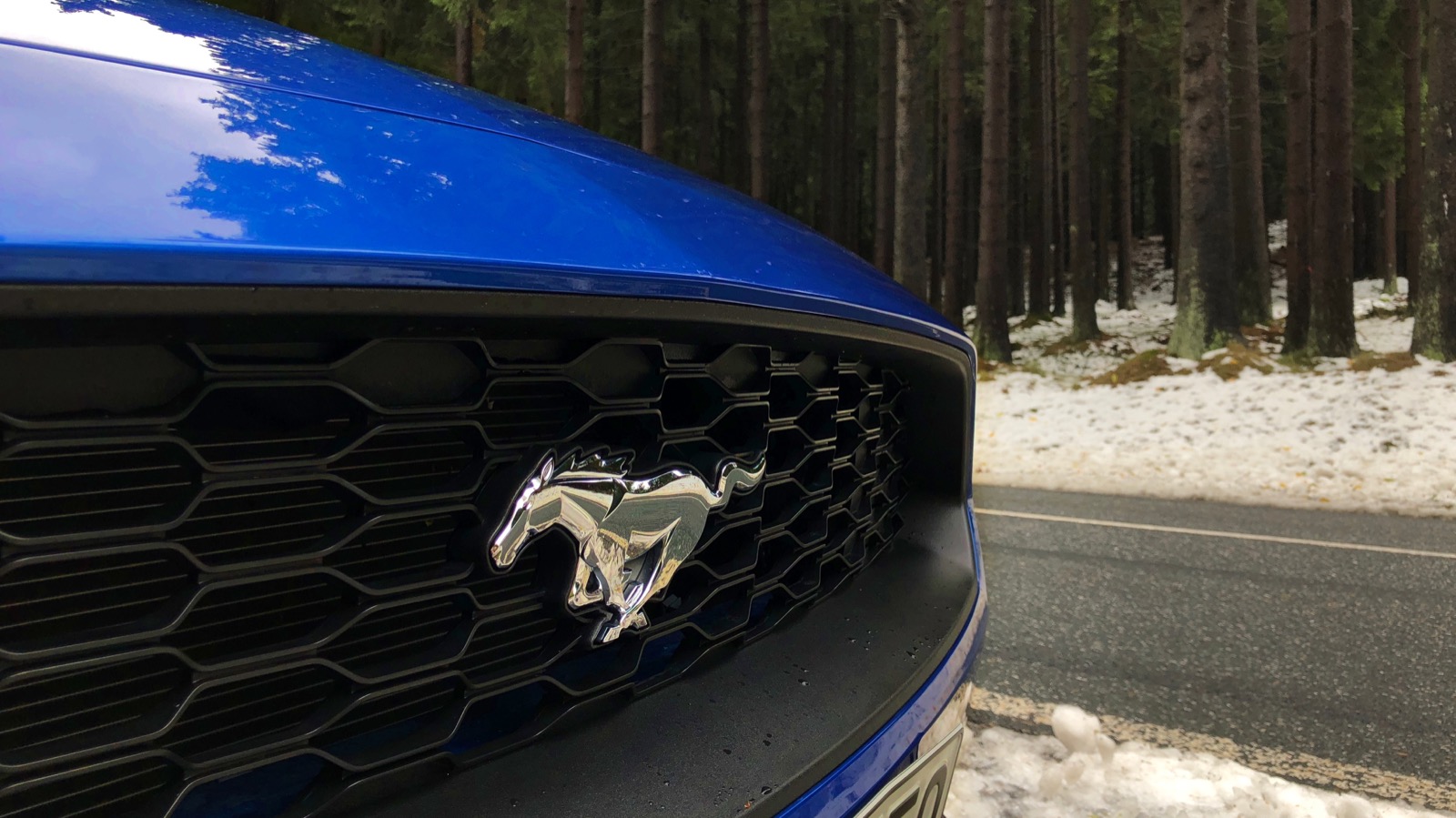 Ein echtes Pony? Der neue Ford Mustang Ecoboost im Test