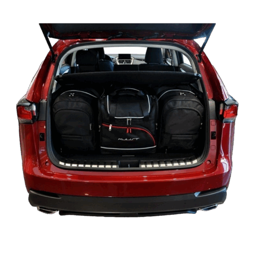 Kofferraumtaschen Set - LEXUS NX