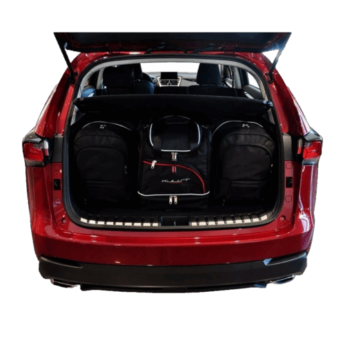 Kofferraumtaschen Set - LEXUS NX