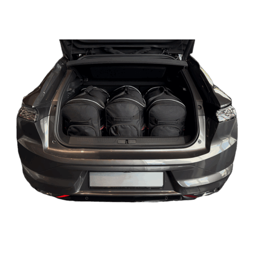 Kofferraumtaschen Set - DS DS 4 II