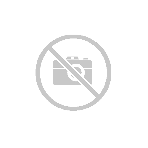 Dachboxtaschen Set Taurus Adventure 480