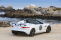 jaguar-f-type Project7 2014 (21)