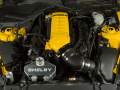 Sondermodell: Ford Mustang Shelby Terlingua Racing Team