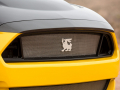 Sondermodell: Ford Mustang Shelby Terlingua Racing Team