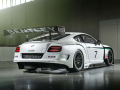 Continental-GT3-(7)