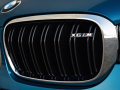 BMW-X6M-2014-(32)